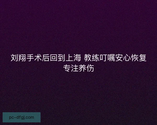 刘翔手术后回到上海 教练叮嘱安心恢复专注养伤